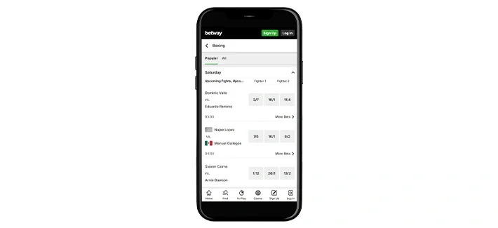 boxing-betting boxing-betting